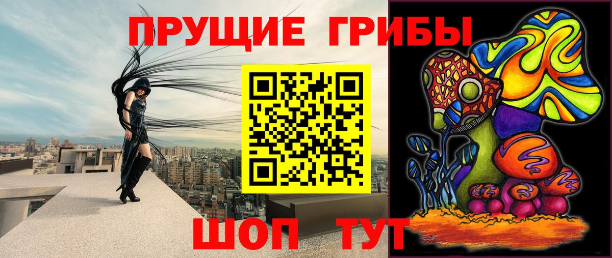Камень-на-Оби  Галлюциногенные грибы мицелий  Вход с VPN 
