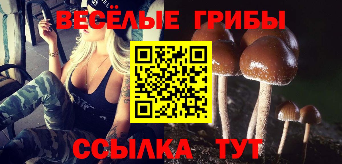 Галлюциногенные грибы мицелий Камень-на-Оби